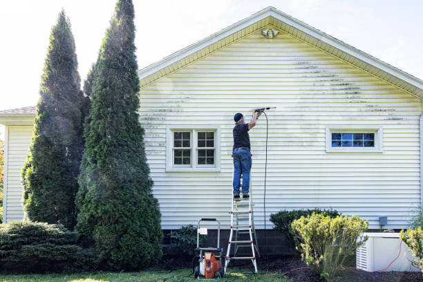 Best House Pressure Washing  in San Diego, TX